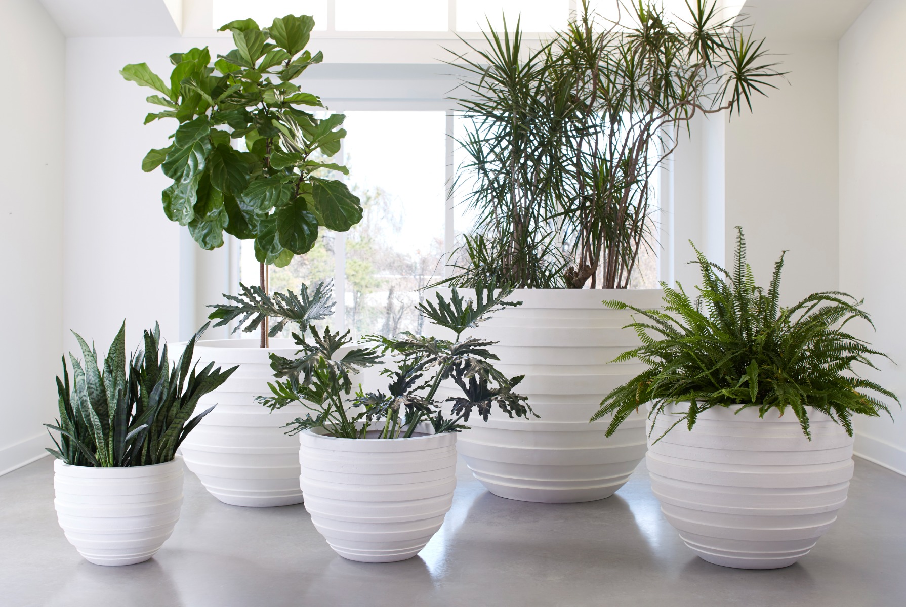 Showrooms & Tradeshows