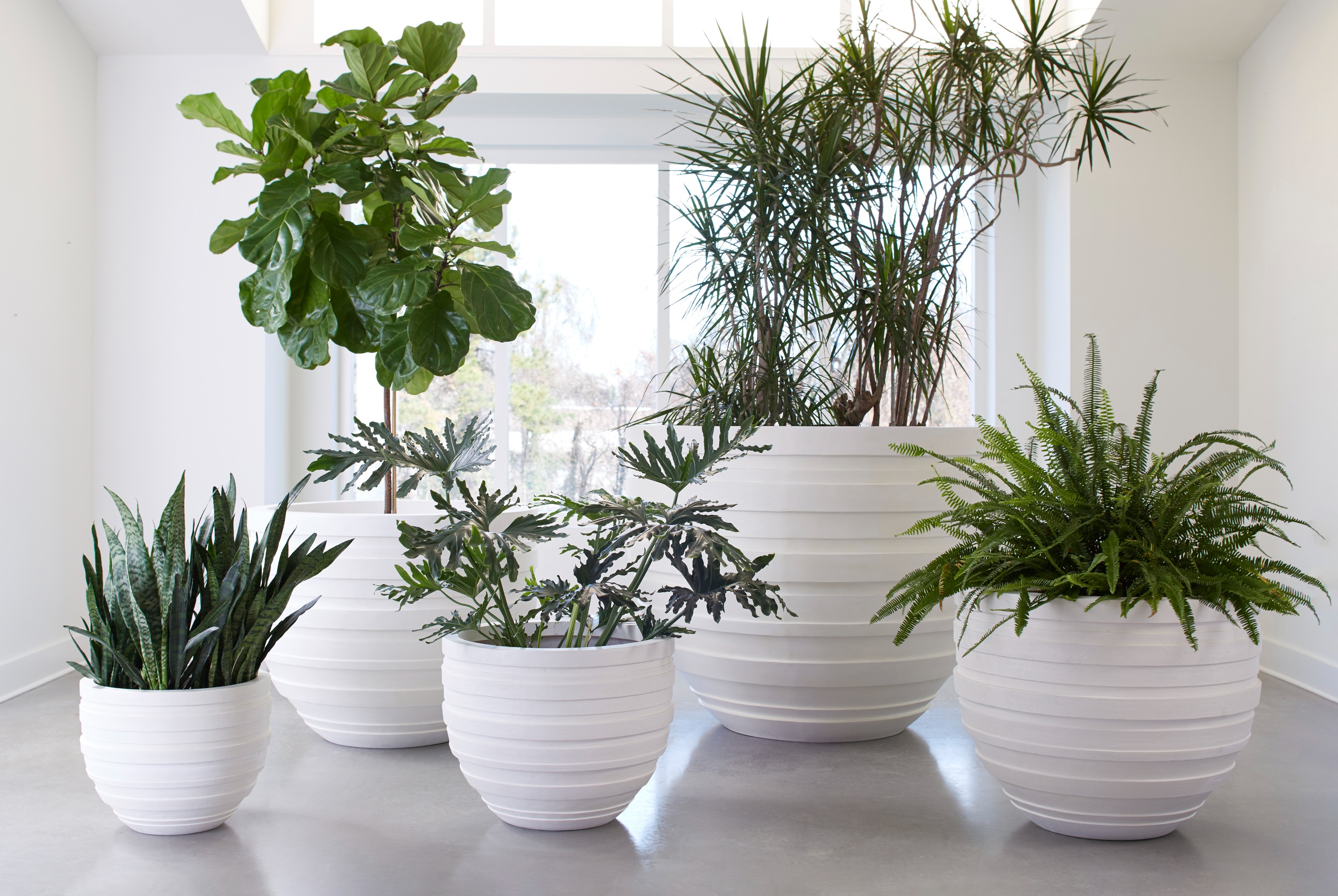Showrooms & Tradeshows