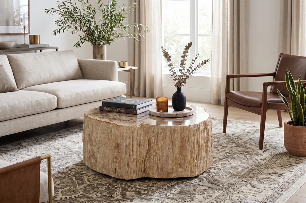 Lithic Petrified Round Coffee Table, Rough, Cream