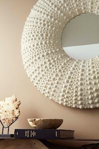 Sea Urchin Mirror 