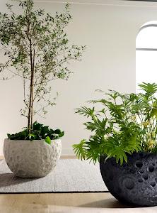 Crater Planter, White Stone