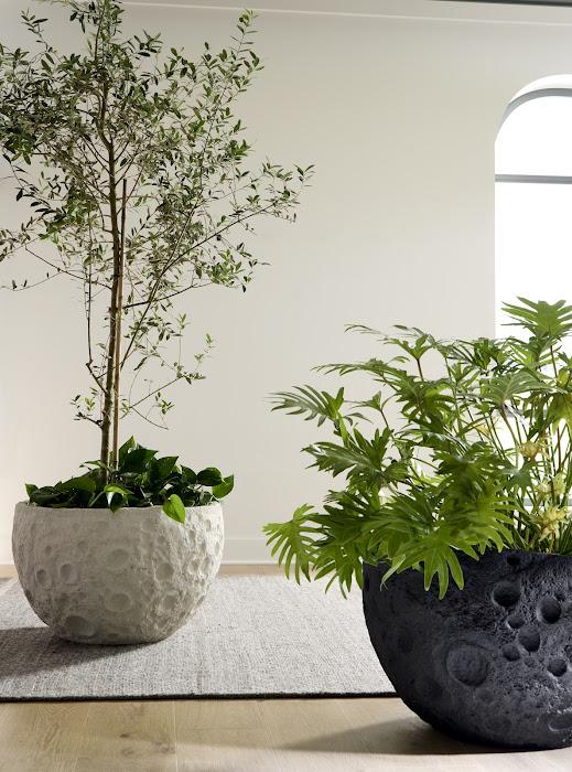 Crater Planter, White Stone