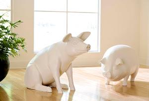 Happy Pig