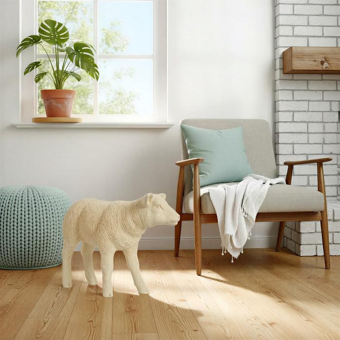 Texelaar Sheep, Lamb, Cream