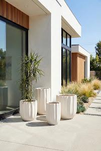 Tulip Flower Planter, Wide