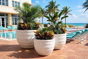 June Planter, White, XS