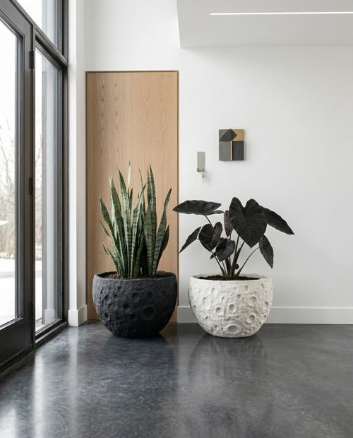 Crater Planter, Black Stone