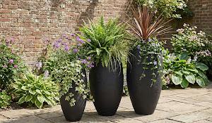 Aera Planter, Black, Large