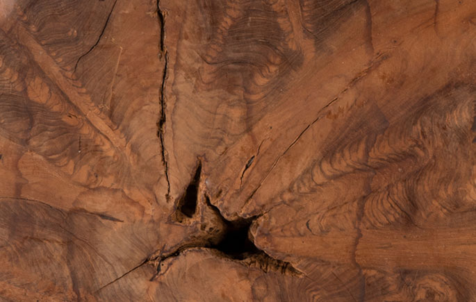 Teak Wood