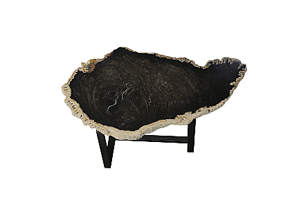 Petrified Wood Coffee Table Black Iron Base