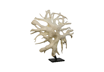 Teak Root Sculpture Bleached