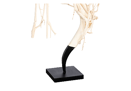 Teak Root Sculpture Bleached
