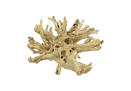 Teak Root Coffee Table Bleached, Square