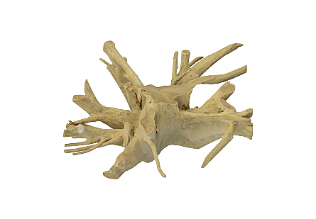 Teak Root Coffee Table Bleached, Square