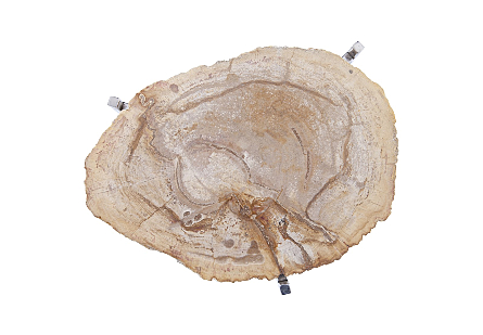 Petrified Wood Beverage Table Off White, MD