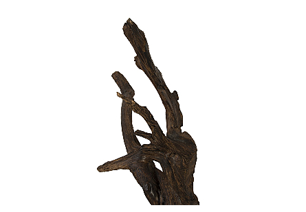 Black Root Wood Sculpture