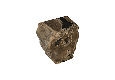 Petrified Wood LG Stool, Rough Sides, Flat Top Assorted