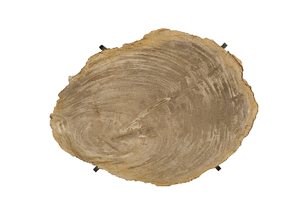 Petrified Wood Tray Stainless Steel Base, Assorted Styles and Sizes