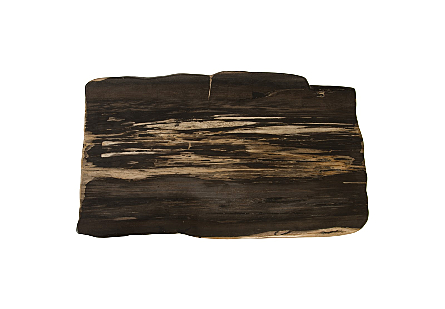 Petrified Wood Coffee Table Stainless Steel Base