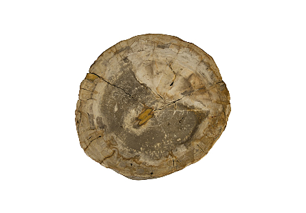 Petrified Wood Stool, Colossal