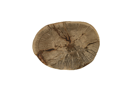 Petrified Wood Stool, Polished, Cream, 20"- 24" x 17"-19"h Assorted