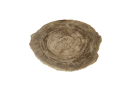Petrified Wood Stool, Rough,  19"-24" x 17"-19"h  Assorted
