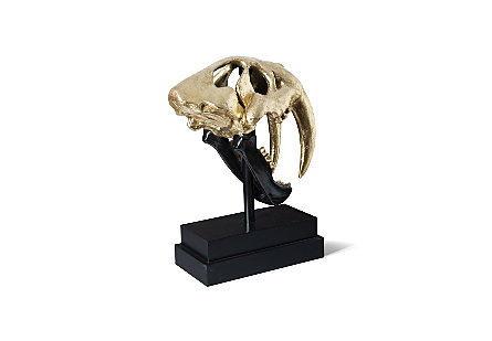Gold Saber Tooth Tiger Skull