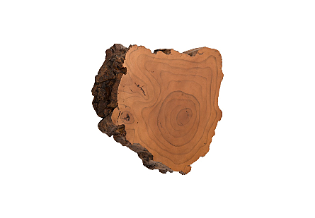 Burled Root Wall Art Small, Faux Bois Finish