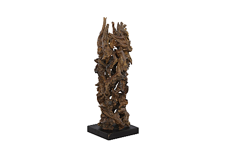 Natural Freeform Root Sculpture
